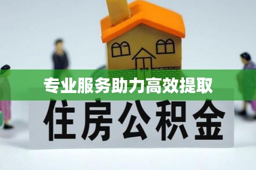 法库专业服务助力高效提取